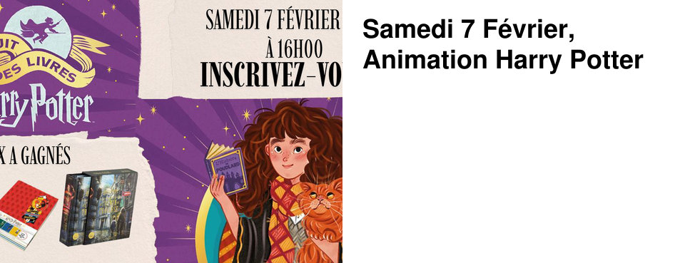 Samedi 7 F�vrier, Animation Harry Potter